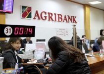 Nợ xấu có vay ngân hàng Agribank được không