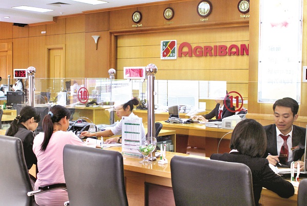 Các gói vay ngân hàng Agribank đang cung cấp